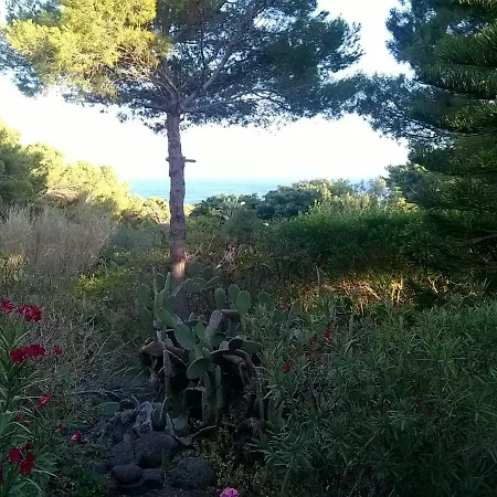 Ustica Mari E Carlo Contrada Ogliastrello Villa