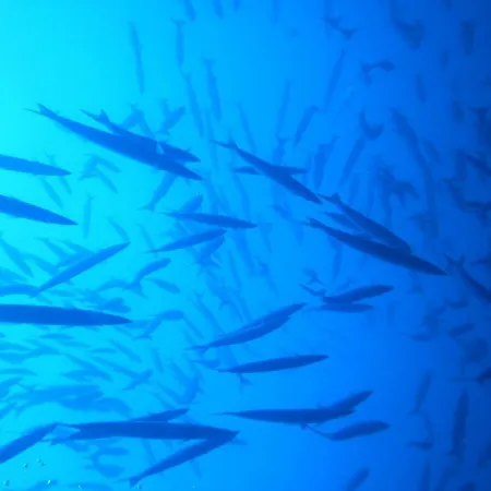 Ustica Mari E Carlo Contrada Ogliastrello Vila Isola di Ustica