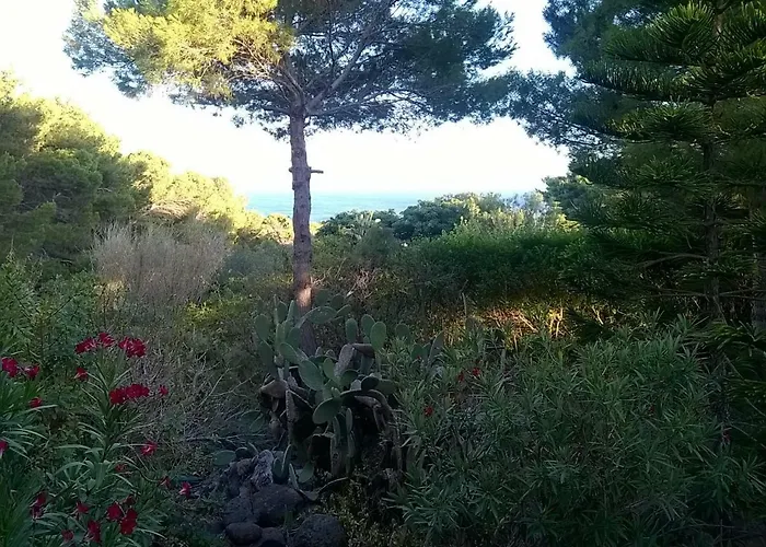 Ustica Mari E Carlo Contrada Ogliastrello Villa